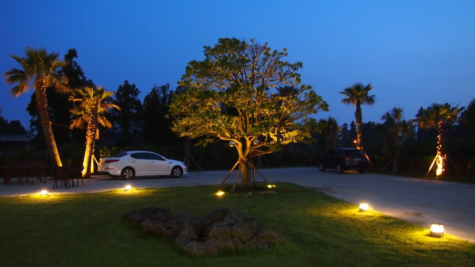 Eridu Cafe N Beds Hotel Seogwipo Exterior photo